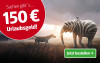 Ein Elefant und ein Zebra stehen in der Landschaft. Werbung für 150 Euro Urlaubsgeld mit dem Text 'Jetzt bestellen' in einer Schaltfläche.