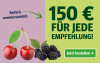 Anzeige für ein Zeitungsabonnement. Text: "150 € für jede Empfehlung!" und Button „Jetzt bestellen“.